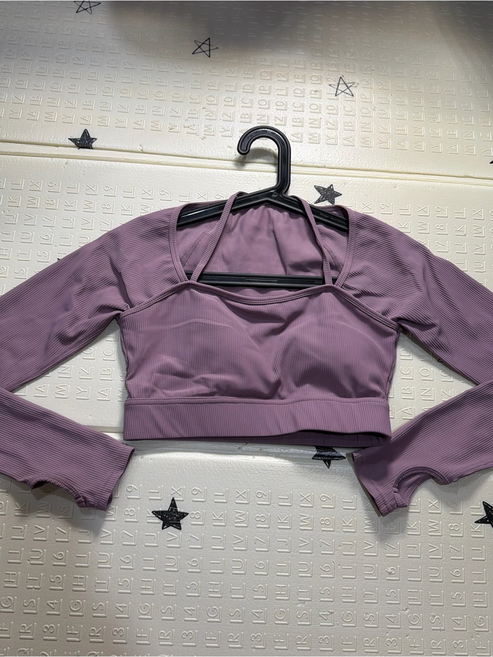 HALARA Mauve Ribbed Long-Sleeve Crop Top